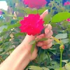sarker5455