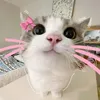 felisloveyy