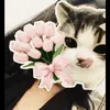 mim.akhter2234