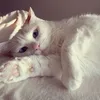 lilianaliyyy_