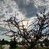 zrwkk0