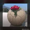 niangolmo220