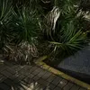 uisunknown