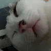 blabluuble