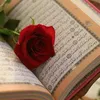user9246723213242