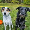 reggieandfran