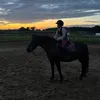 lidzia.eq