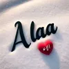 alaa.aldaw2