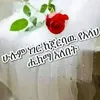 fozi7001