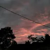haaubas