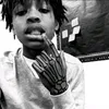 adambwek2k9