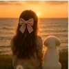 user8419706191505