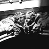 hajer_887