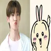 d.angver_