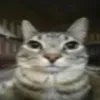 alex_dns16
