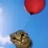 adam_thunder09