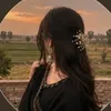 its.aasfa