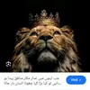 adeelabbas.g
