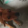mi...rooooo
