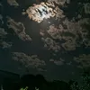 .ais723
