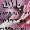 user84479031345525