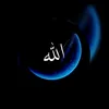 user3228461560065