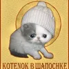 user2880263441165