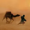 fbji.79