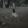 dark___weather
