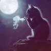 .xvpaulixs