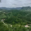 traithainguyen.20