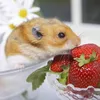 eat.more.fruit