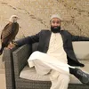 ghulammurtaza37131
