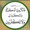user5967420452599