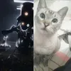 tio.gato2