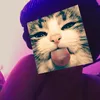 naynayseye