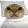 conmeomomat