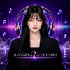 Banzi Echoes