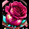 gul29577