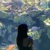 a.nng87