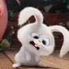 video mentahan_001🐇