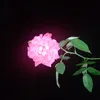 rihad.hossen36