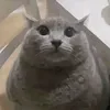 karkar_148852