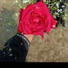 user9616625520010
