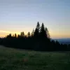 micha_6578