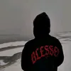 the_liyon_14