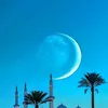 khadarahmed2222
