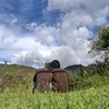 xndugh