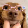 hannavalenzona_01