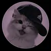 mrcel0336